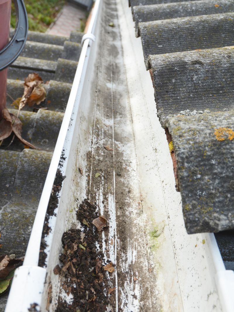 Cleaning gutters out